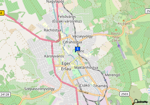 company map