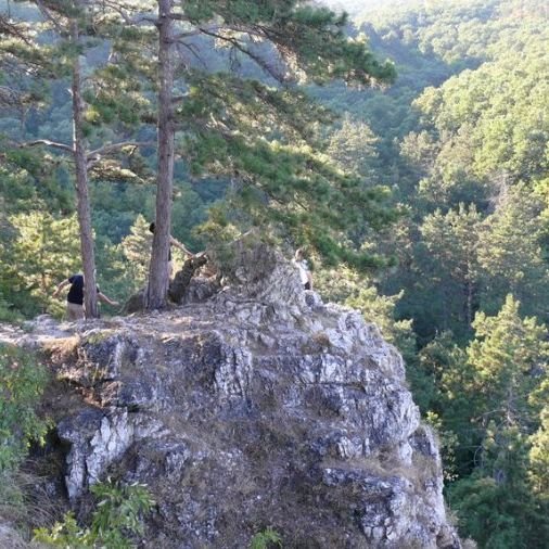 Koloska Valley